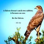 "A falcon doesn't catch two rabbits; it focuses on one. Be the falcon." - Adam Hoyt