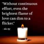 "Without continuous effort, even the brightest flame of love can dim to a flicker." - Adam Hoyt