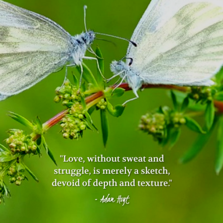 "Love without sweat and struggle, is merely a sketch, devoid of depth and texture." - Adam Hoyt