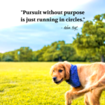 "Pursuit without purpose is just running in circles." - Adam Hoyt