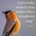 "Love is the melody that makes life's symphony sing." - Adam Hoyt