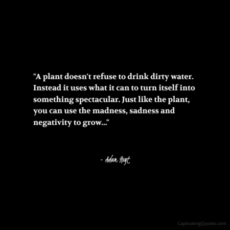 "A plant doesn't refuse to drink dirty water. Instead it uses what it can to turn itself into something spectacular. Just like the plant, you can use the madness, sadness and negativity to grow..." - Adam Hoyt