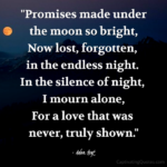 "Promises made under the moon so bright, Now lost, forgotten, in the endless night. In the silence of night, I mourn along, For a love that was never truly shown." - Adam Hoyt