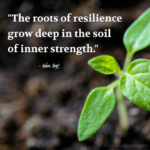 "The roots of resilience grow deep in the soil of inner strength." - Adam Hoyt
