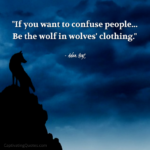 "If you want to confuse people... Be the wolf in wolves' clothing." - Adam Hoyt